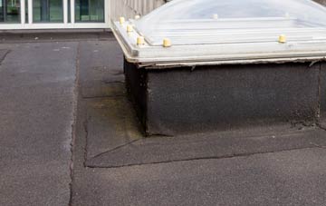 disadvantages of West Taphouse flat roofs